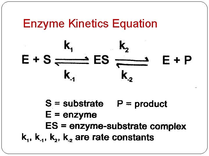 Enzyme Kinetics Equation 