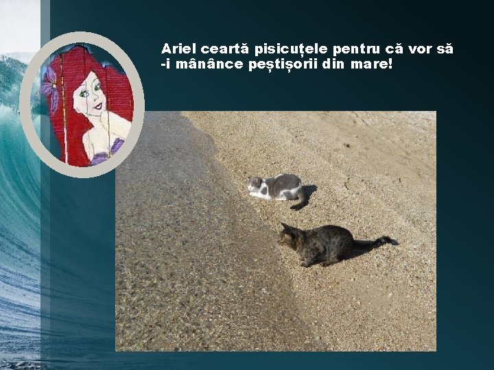 Ariel ceartă pisicuțele pentru că vor să -i mânânce peștișorii din mare! 