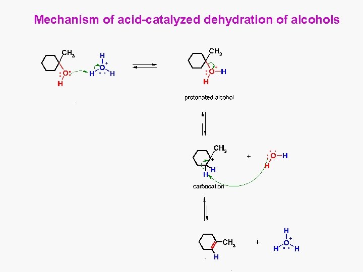 Mechanism of acid-catalyzed dehydration of alcohols 