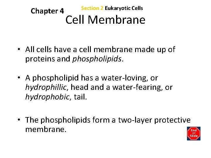 Chapter 4 Section 2 Eukaryotic Cells Bellringer What