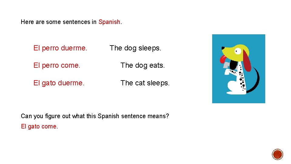 Here are some sentences in Spanish. El perro duerme. The dog sleeps. El perro