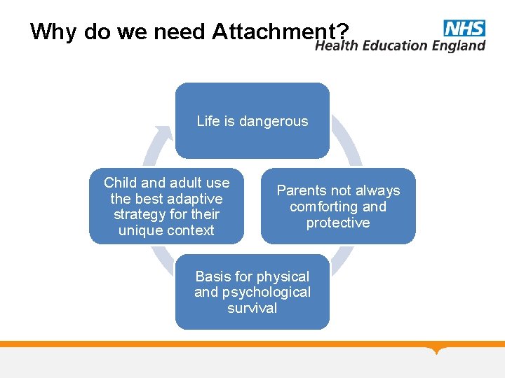 Why do we need Attachment? Life is dangerous Child and adult use the best Why do we need Attachment? Life is dangerous Child and adult use the best