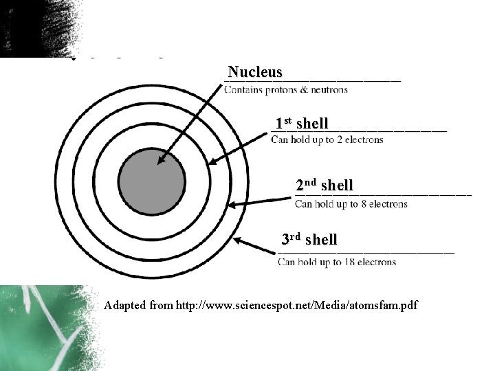 Nucleus 1 st shell 2 nd shell 3 rd shell Adapted from http: //www.