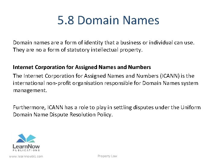 5. 8 Domain Names Domain names are a form of identity that a business