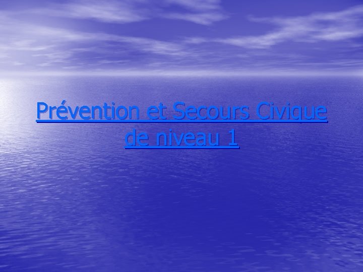 Prévention et Secours Civique de niveau 1 