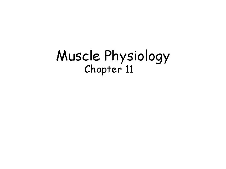 Muscle Physiology Chapter 11 