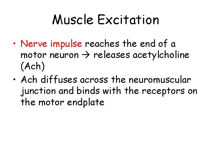 Muscle Excitation • Nerve impulse reaches the end of a motor neuron releases acetylcholine