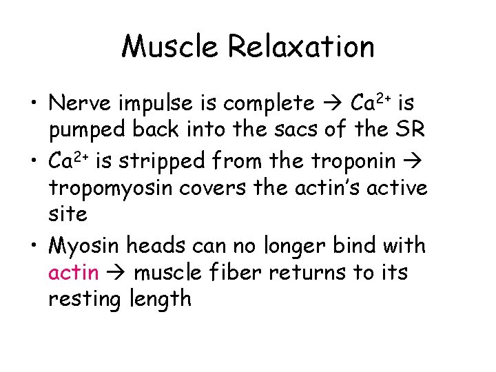 Muscle Relaxation • Nerve impulse is complete Ca 2+ is pumped back into the