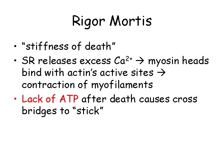 Rigor Mortis • “stiffness of death” • SR releases excess Ca 2+ myosin heads