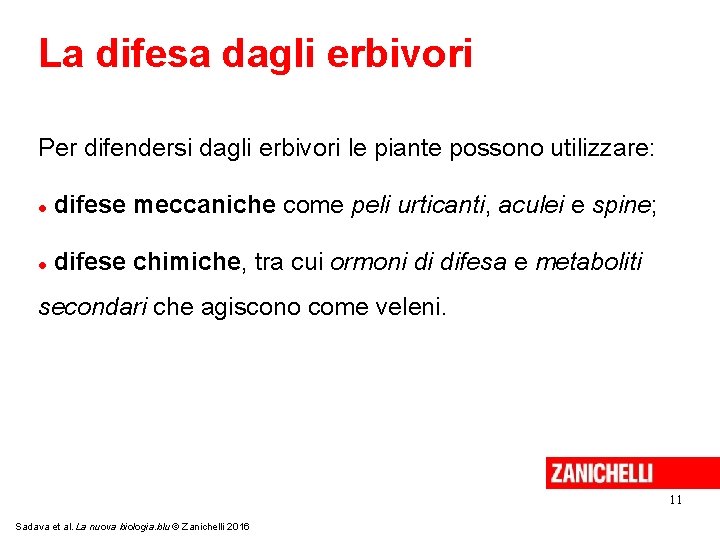 La difesa dagli erbivori Per difendersi dagli erbivori le piante possono utilizzare: difese meccaniche