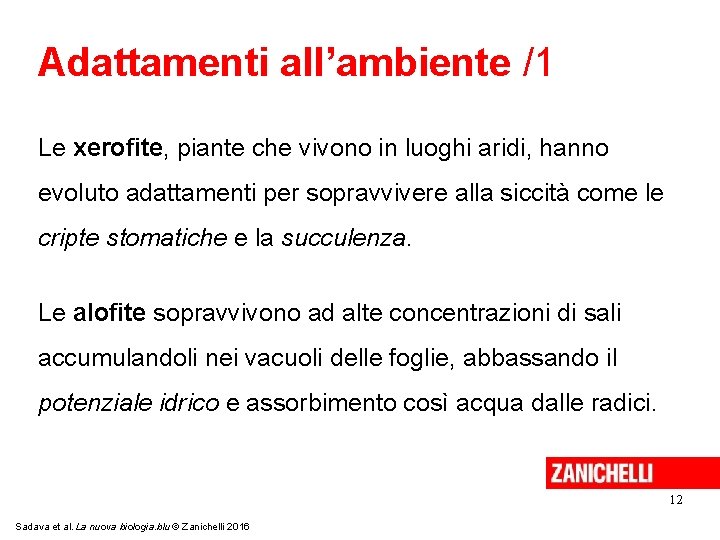 Adattamenti all’ambiente /1 Le xerofite, piante che vivono in luoghi aridi, hanno evoluto adattamenti