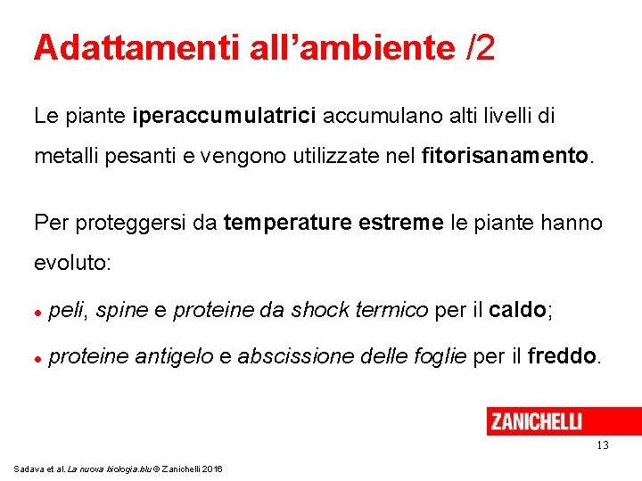 Adattamenti all’ambiente /2 Le piante iperaccumulatrici accumulano alti livelli di metalli pesanti e vengono