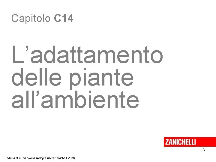 Capitolo C 14 L’adattamento delle piante all’ambiente 3 Sadava et al. La nuova biologia.