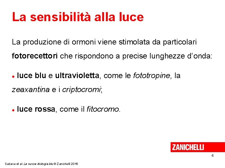 La sensibilità alla luce La produzione di ormoni viene stimolata da particolari fotorecettori che