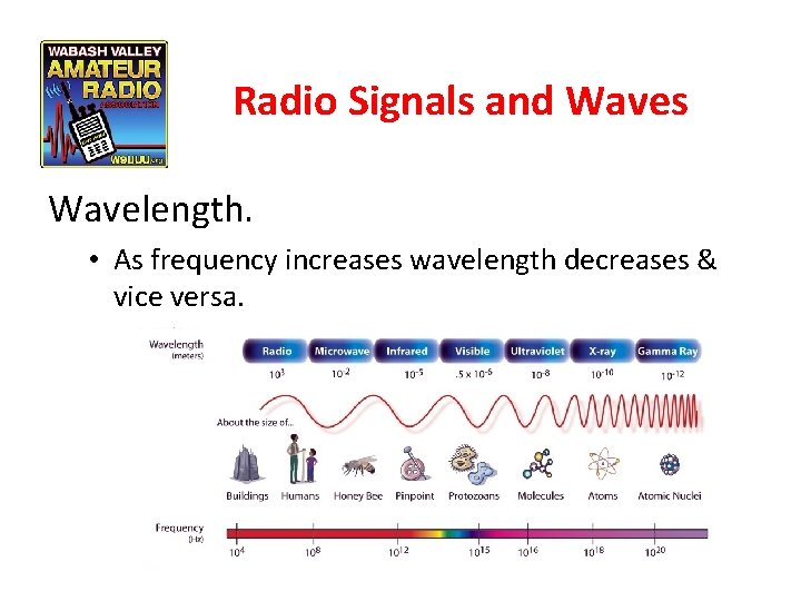 Radio Signals and Waves Wavelength. • As frequency increases wavelength decreases & vice versa.