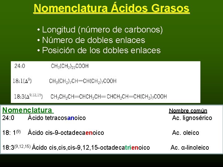 Nomenclatura Ácidos Grasos • Longitud (número de carbonos) • Número de dobles enlaces •