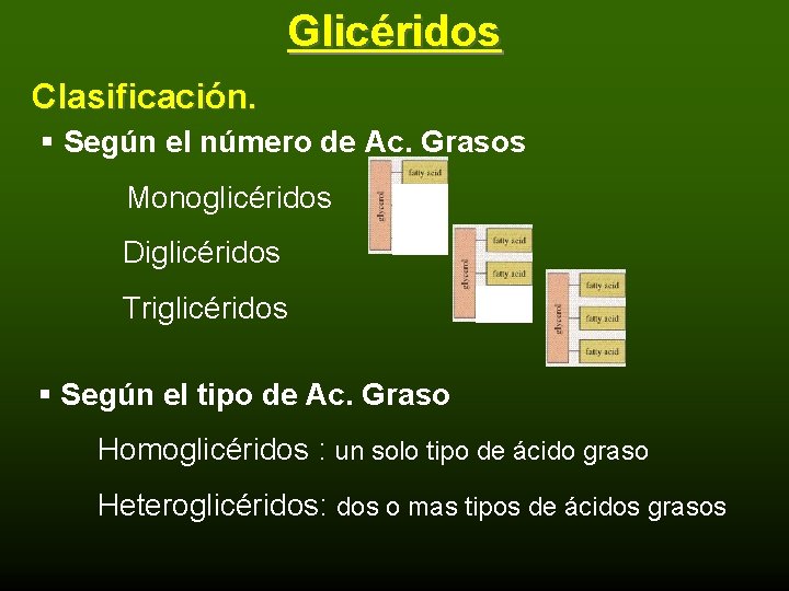 Glicéridos Clasificación. § Según el número de Ac. Grasos Monoglicéridos Diglicéridos Triglicéridos § Según