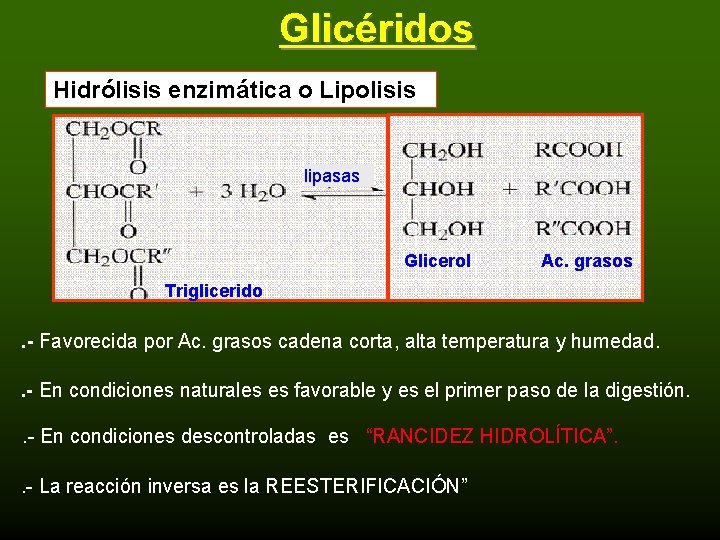 Glicéridos Hidrólisis enzimática o Lipolisis lipasas Glicerol Ac. grasos Triglicerido . - Favorecida por