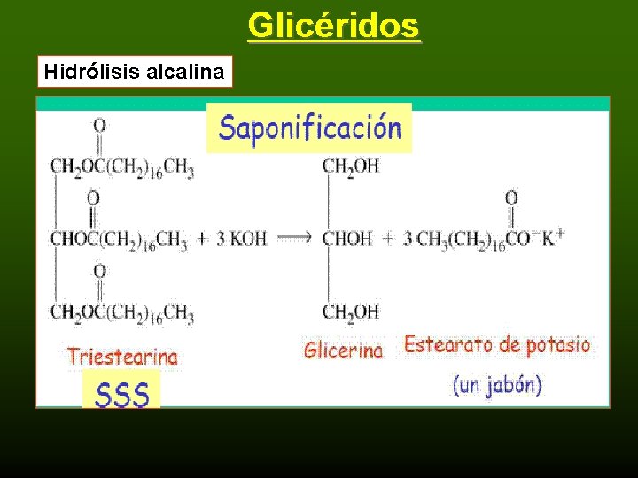 Glicéridos Hidrólisis alcalina 