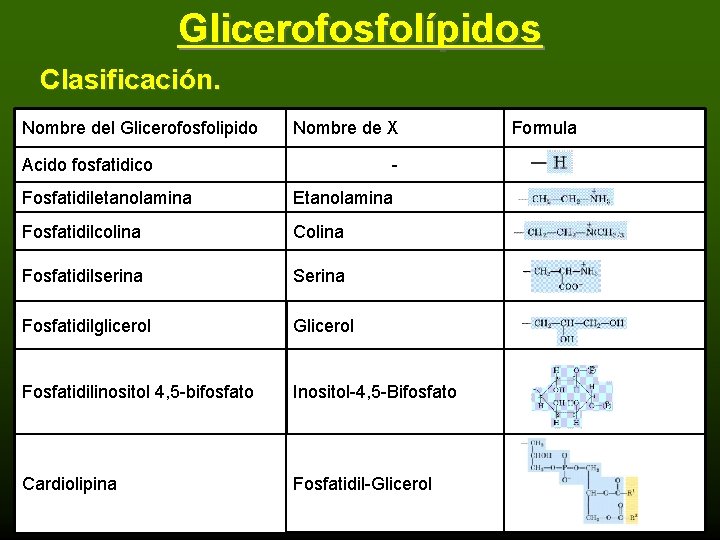 Glicerofosfolípidos Clasificación. Nombre del Glicerofosfolipido Nombre de X Acido fosfatidico - Fosfatidiletanolamina Etanolamina Fosfatidilcolina