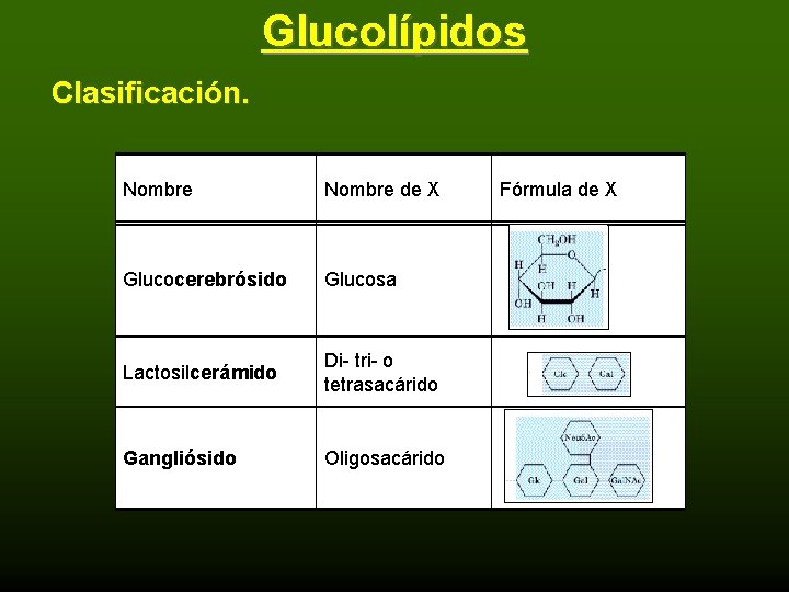 Glucolípidos Clasificación. Nombre de X Glucocerebrósido Glucosa Lactosilcerámido Di- tri- o tetrasacárido Gangliósido Oligosacárido