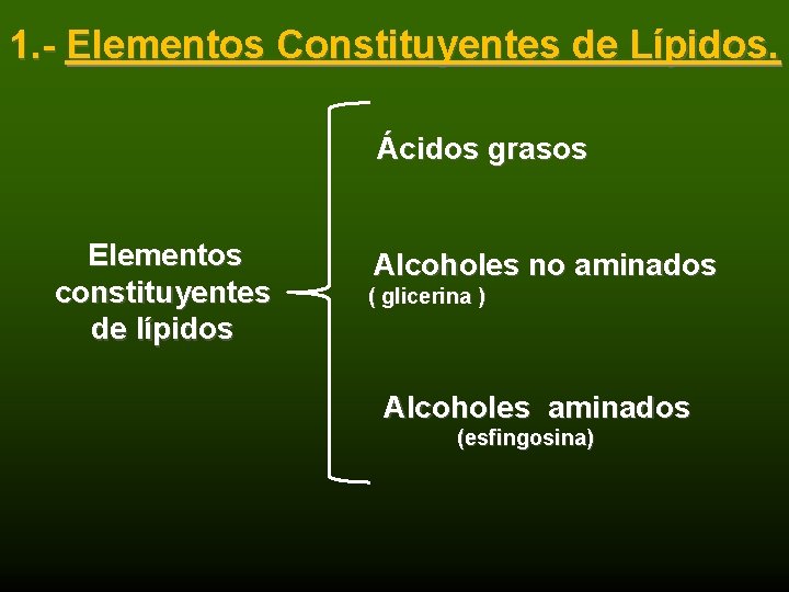 1. - Elementos Constituyentes de Lípidos. Ácidos grasos Elementos constituyentes de lípidos Alcoholes no