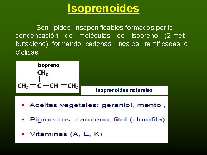Isoprenoides Son lípidos insaponificables formados por la condensación de moléculas de isopreno (2 -metilbutadieno)