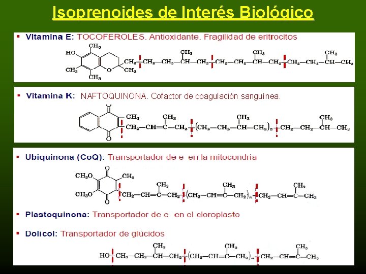 Isoprenoides de Interés Biológico NAFTOQUINONA. Cofactor de coagulación sanguínea. 