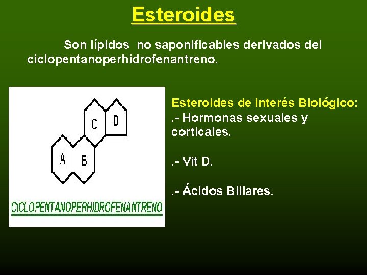 Esteroides Son lípidos no saponificables derivados del ciclopentanoperhidrofenantreno. Esteroides de Interés Biológico: . -