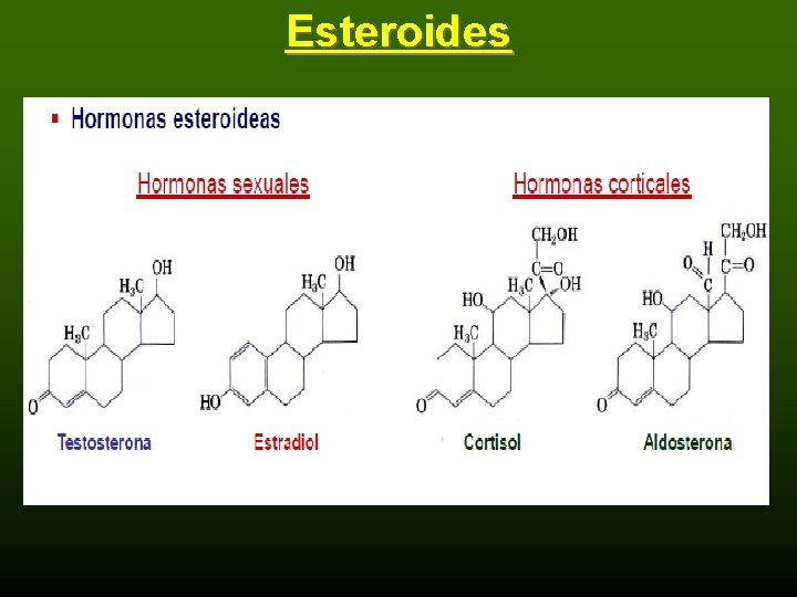 Esteroides 