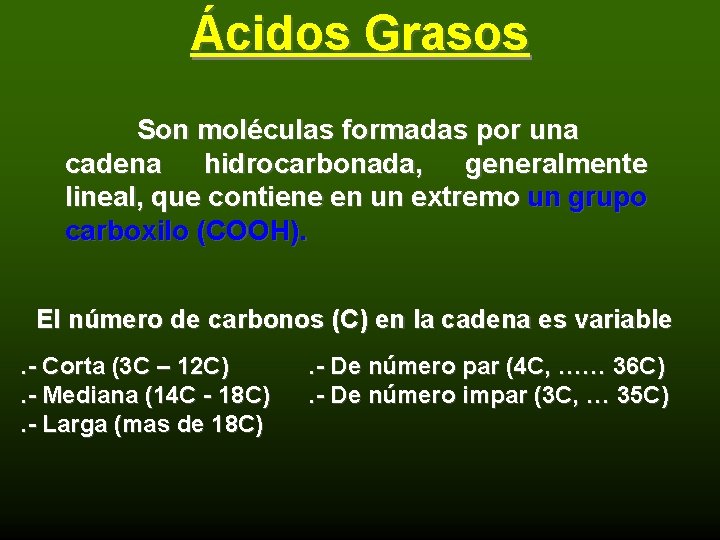 Ácidos Grasos Son moléculas formadas por una cadena hidrocarbonada, generalmente lineal, que contiene en