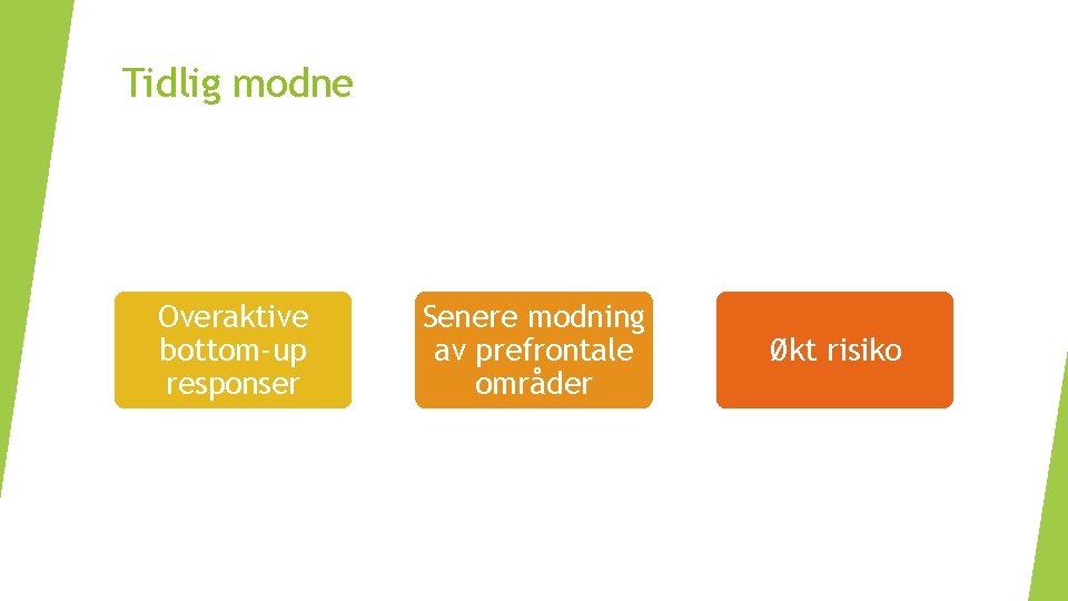 Tidlig modne Overaktive bottom-up responser Senere modning av prefrontale områder Økt risiko 