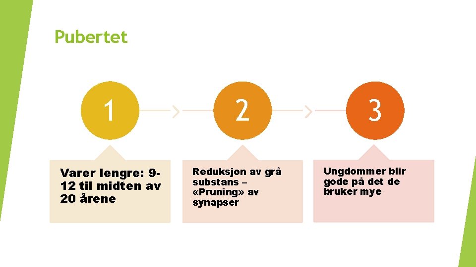 Pubertet 1 Varer lengre: 912 til midten av 20 årene 2 Reduksjon av grå