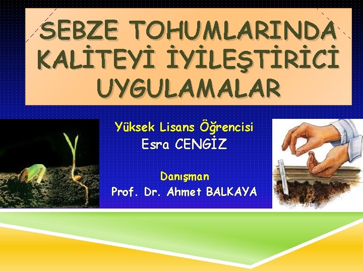 SEBZE TOHUMLARINDA KALİTEYİ İYİLEŞTİRİCİ UYGULAMALAR Yüksek Lisans Öğrencisi Esra CENGİZ Danışman Prof. Dr. Ahmet