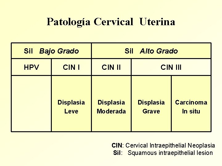 Patología Cervical Uterina Sil Bajo Grado HPV Sil Alto Grado CIN II Displasia Leve