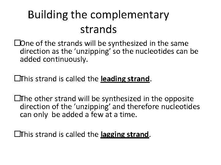 Building the complementary strands �One of the strands will be synthesized in the same