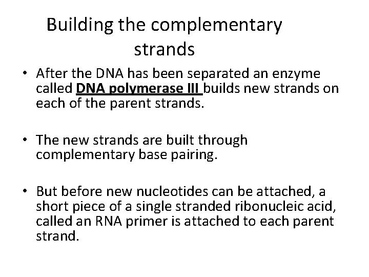 Building the complementary strands • After the DNA has been separated an enzyme called