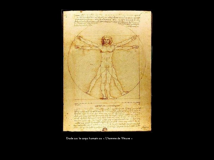 Etude sur le corps humain ou « L’homme de Vitruve » 