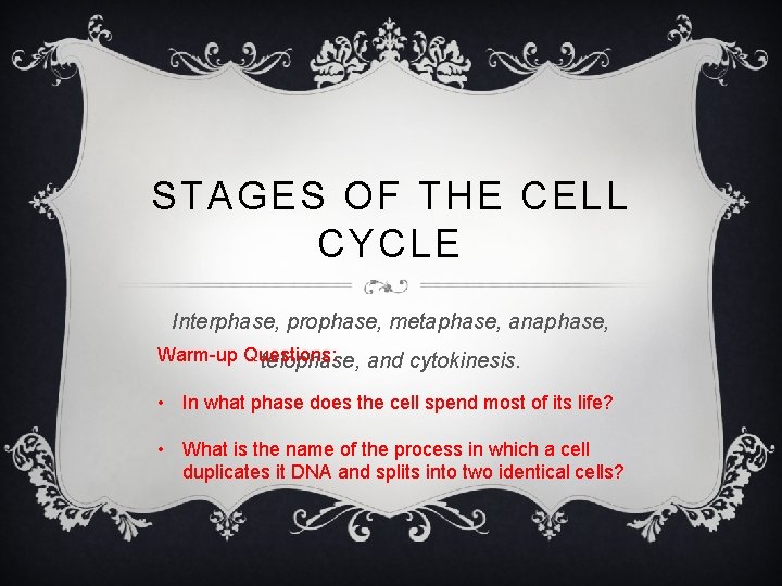 STAGES OF THE CELL CYCLE Interphase, prophase, metaphase, anaphase, Warm-up Questions: telophase, and cytokinesis.