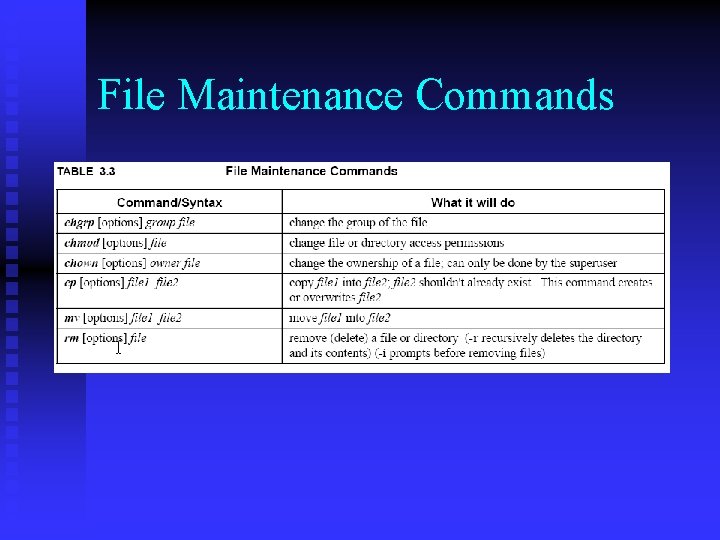 File Maintenance Commands 