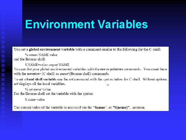 Environment Variables 