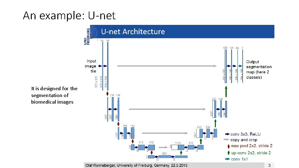 An example: U-net It is designed for the segmentation of biomedical images 