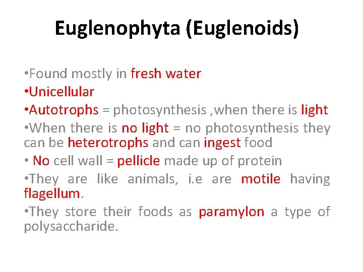 Euglenophyta (Euglenoids) • Found mostly in fresh water • Unicellular • Autotrophs = photosynthesis