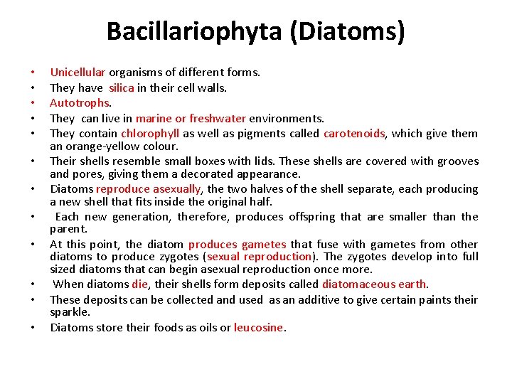 Bacillariophyta (Diatoms) • • • Unicellular organisms of different forms. They have silica in
