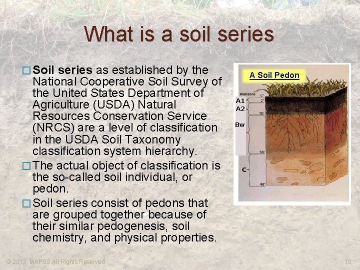 What is a soil series � Soil series as established by the National Cooperative