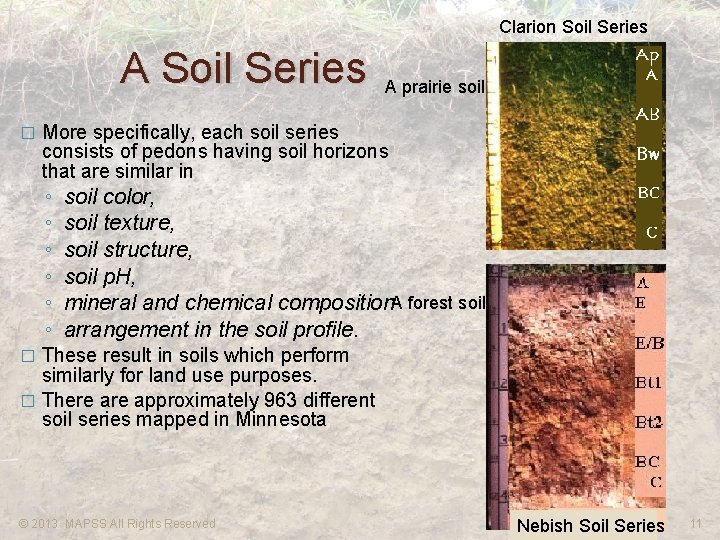 Clarion Soil Series A Soil Series � A prairie soil More specifically, each soil