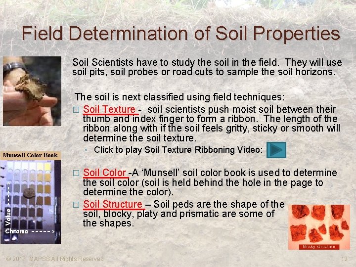Field Determination of Soil Properties Soil Scientists have to study the soil in the
