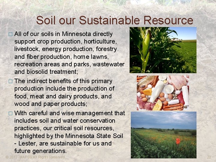 Soil our Sustainable Resource � All of our soils in Minnesota directly support crop