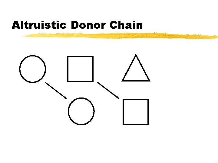 Altruistic Donor Chain 