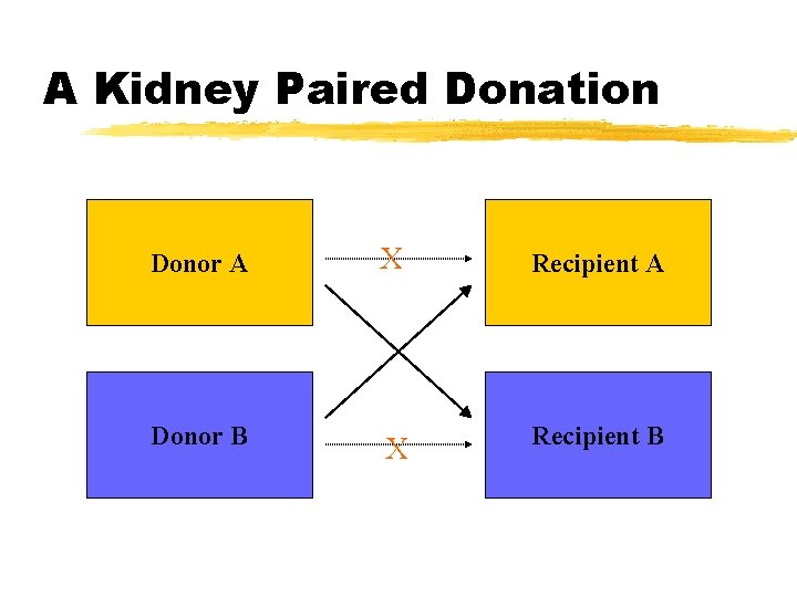 A Kidney Paired Donation Donor A X Recipient A Donor B X Recipient B